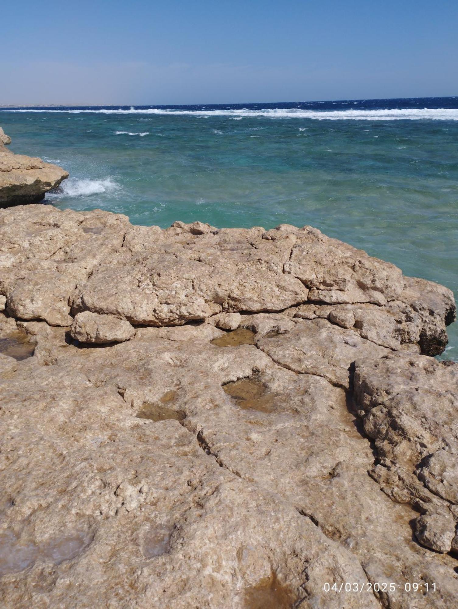 Oyster Bay Resort And Spa Marsza Alam Kültér fotó